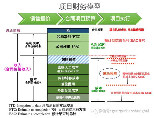 開票無關型專業服務項目公司運營管理體系 流程、財務管理與IT系統及信息系統運維服務